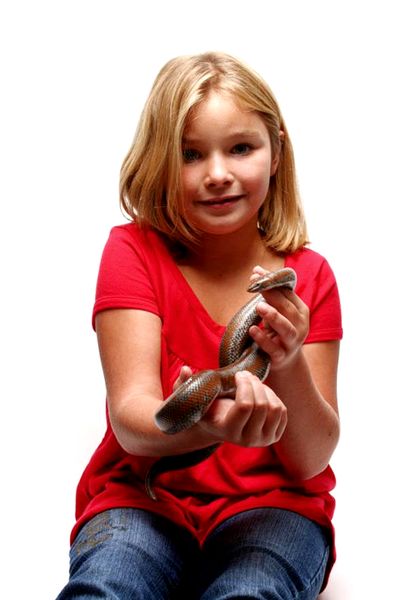 13 consejos para un mejor manejo de reptiles