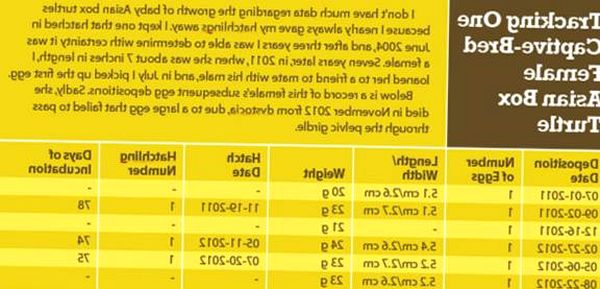 Consejos para el cuidado de la tortuga de caja asiática y notas de cría