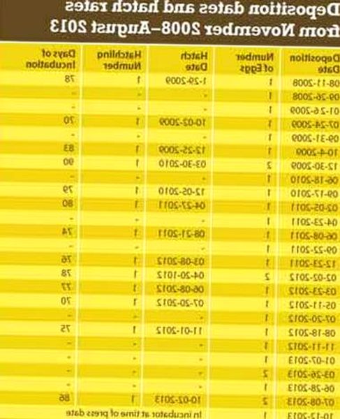 Consejos para el cuidado de la tortuga de caja asiática y notas de cría