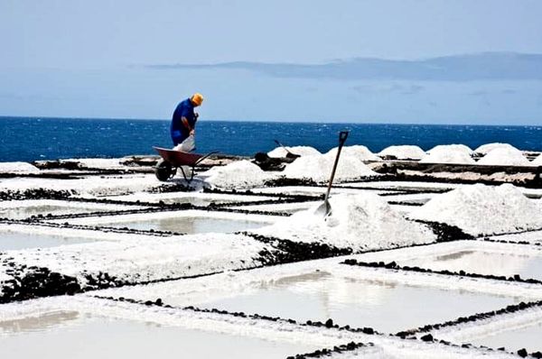 La mejor sal de arrecife: guía completa para elegir la mejor mezcla